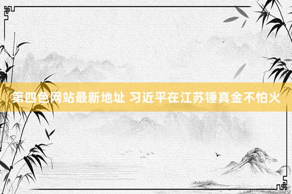 第四色网站最新地址 习近平在江苏锤真金不怕火